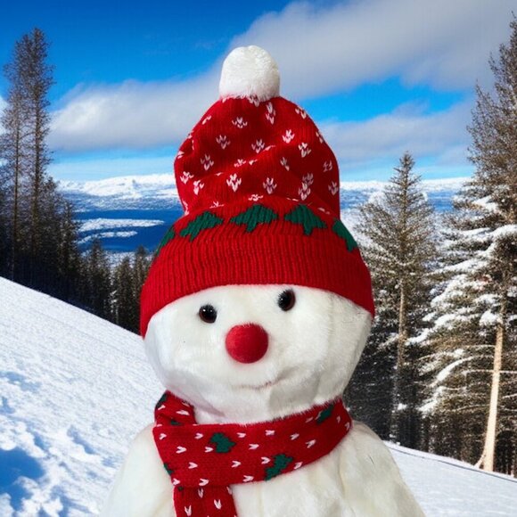 Ty Snowboy Beanie Baby Buddy Plush Snowman With Red Hat & Scarf - Picture 9 of 13